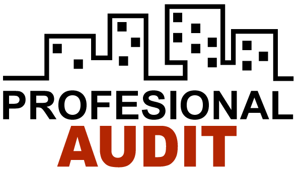 Profesional Audit